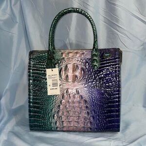 Caroline Enchant Ombre Melbourne Brahmin Purse